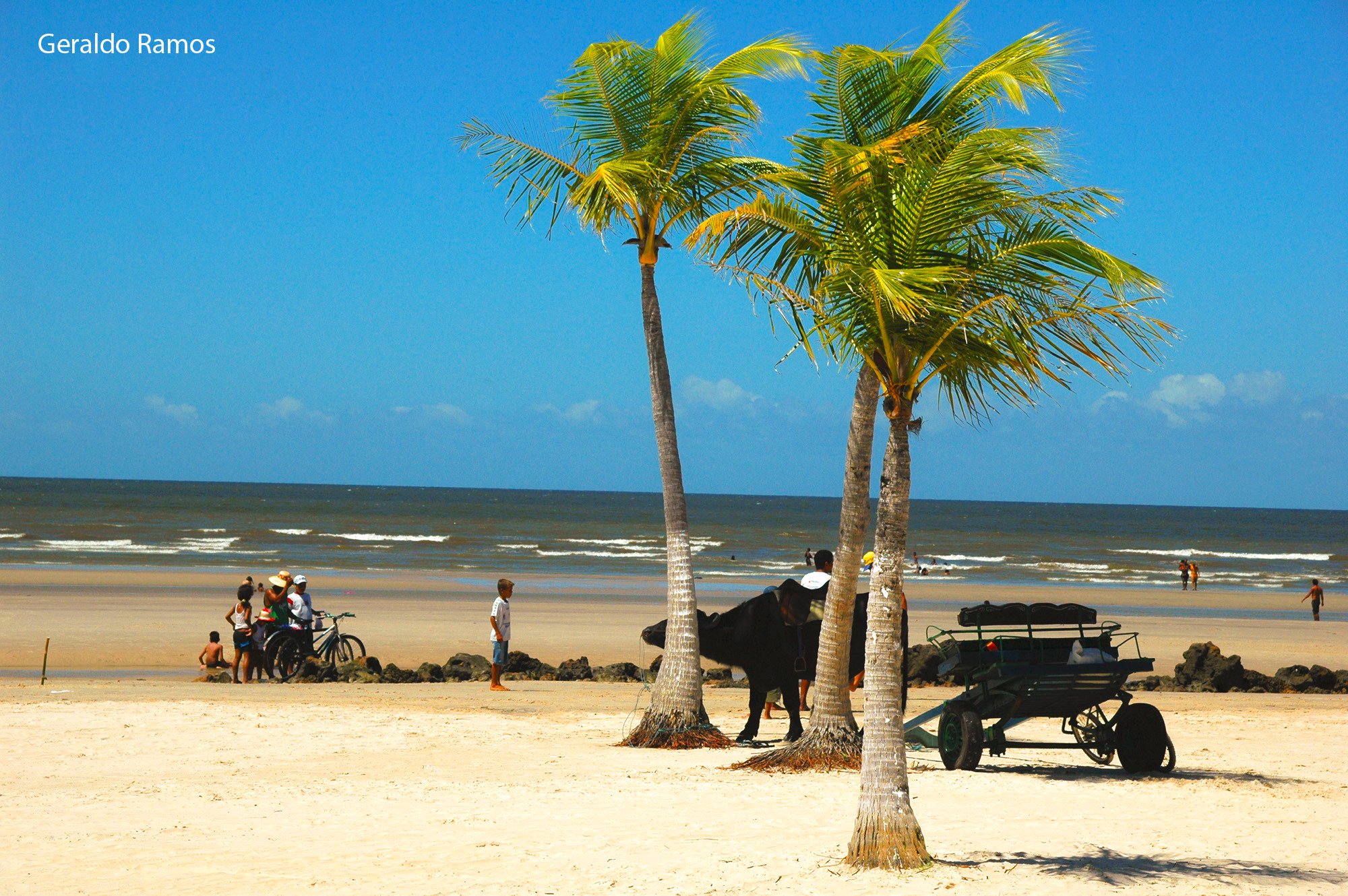 Soure Pará fonte: dynamic-media-cdn.tripadvisor.com Fonte: dynamic-media-cdn.tripadvisor.com